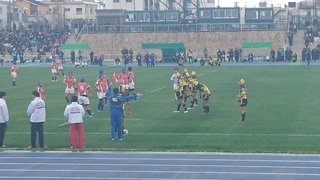 DSC_1244.jpg