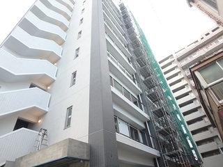 P1101328.jpg