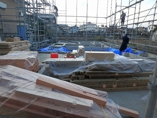 PB250093.jpg