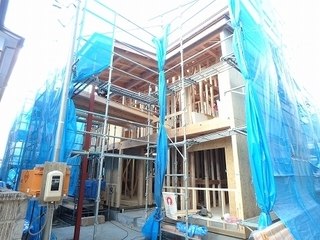 PC110035.jpg