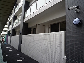 P1010018.jpg