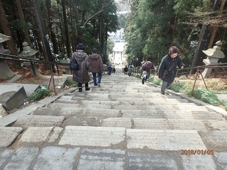 P1050063.jpg