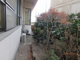 P2050076.jpg