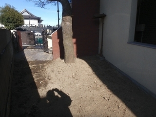 P2190061.jpg