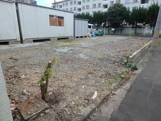 PA250006.jpg