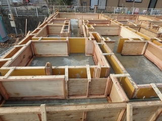 PB280025.jpg